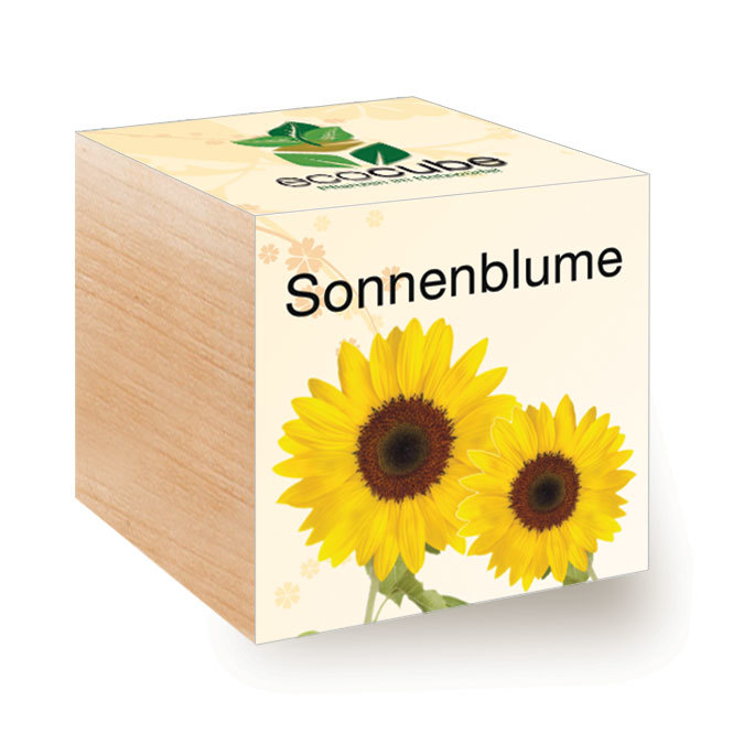 Ecocube Sonnenblume - Pflanzen im Holzw&#252;rfel